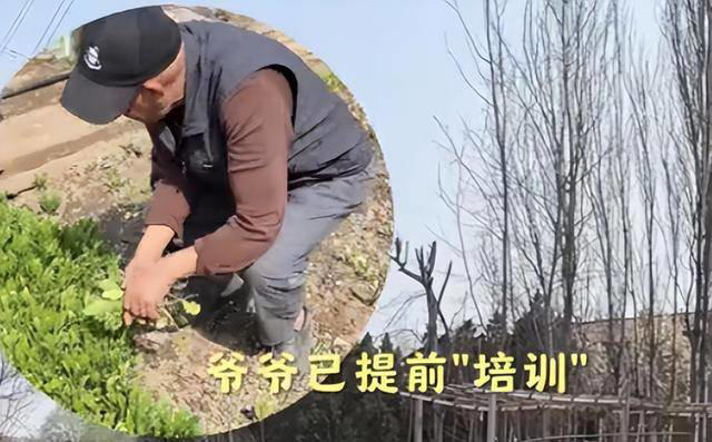 梅婷现身北京别墅菜园摘菜，2000多块外套穿出少女感，这哪是50岁