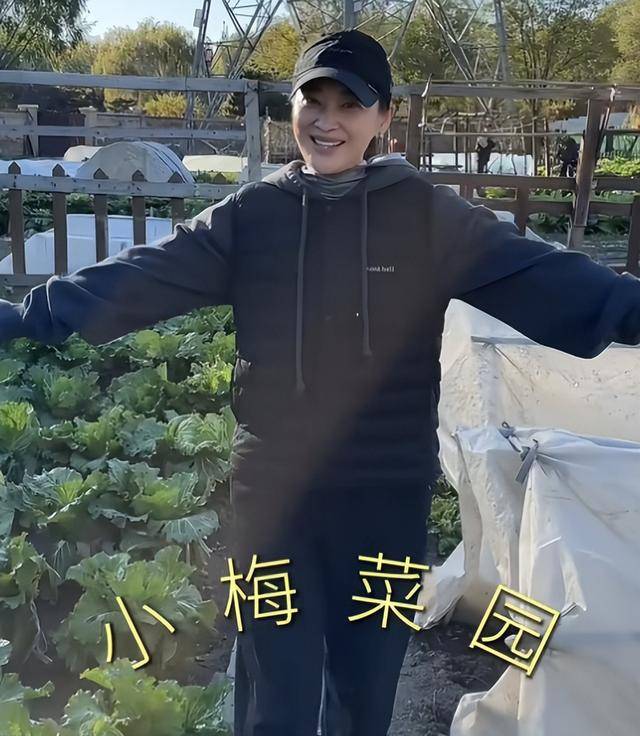 梅婷现身北京别墅菜园摘菜，2000多块外套穿出少女感，这哪是50岁