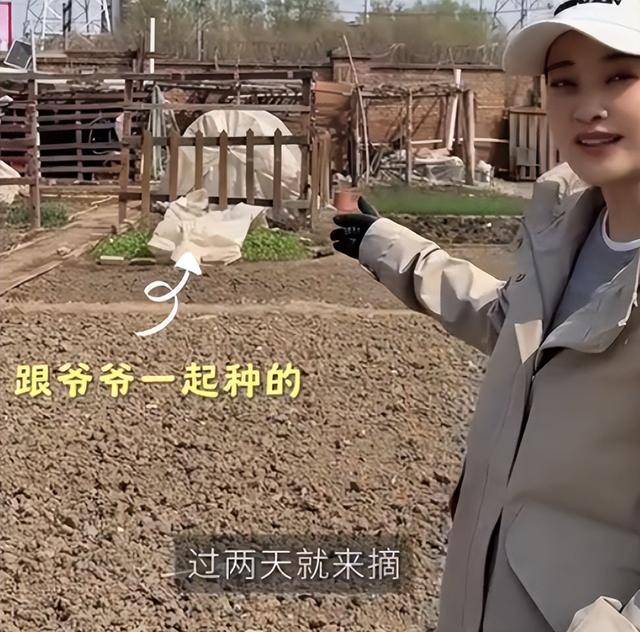 梅婷现身北京别墅菜园摘菜，2000多块外套穿出少女感，这哪是50岁