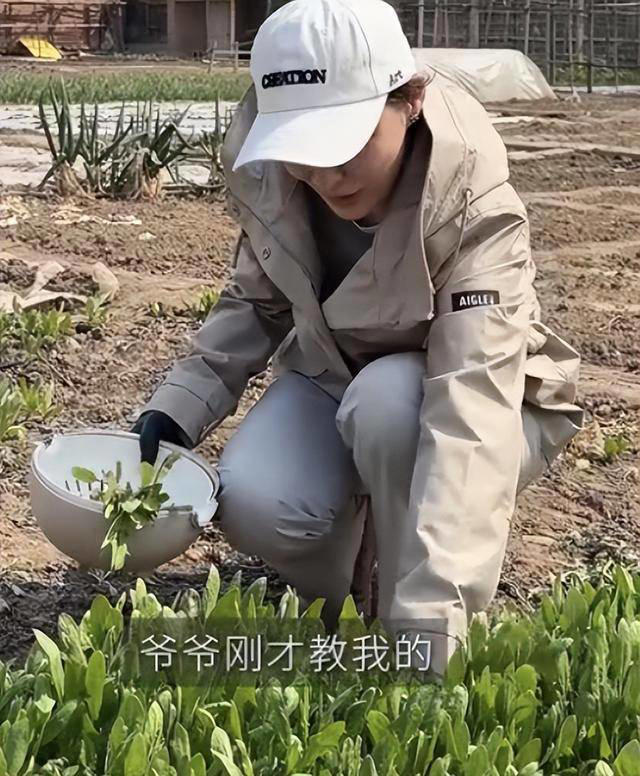 梅婷现身北京别墅菜园摘菜，2000多块外套穿出少女感，这哪是50岁