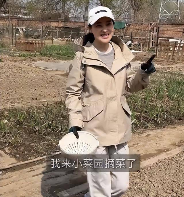 梅婷现身北京别墅菜园摘菜，2000多块外套穿出少女感，这哪是50岁
