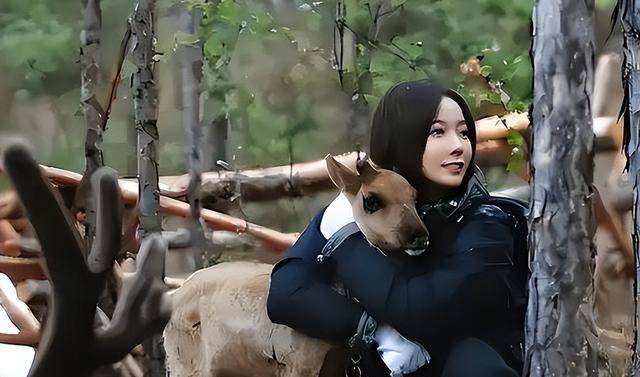 王珞丹现状，搬进深山生活，母亲不再催婚，41岁和两只狗相依为命