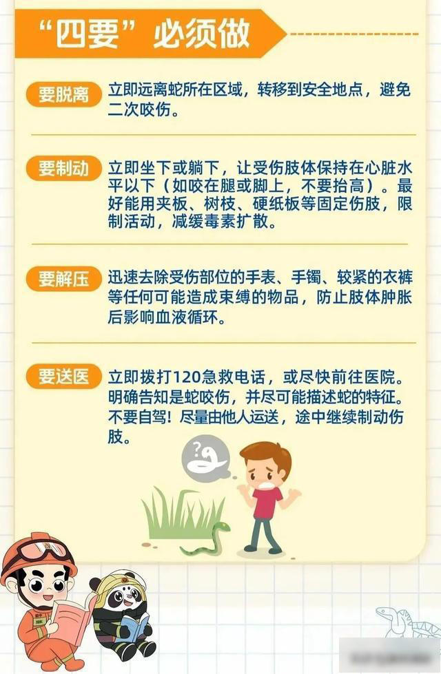 3岁女童被毒蛇咬伤，“假死”3天后奇迹生还! 紧急提醒：已进入高发期，警惕!