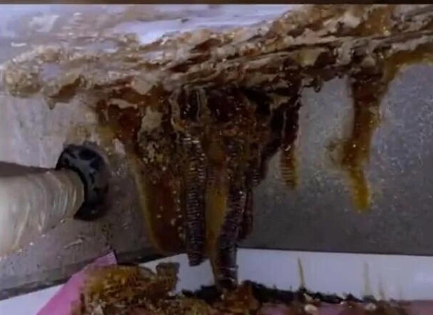 ͣ��δ�س���ʮ����ӣ��㽭���ӻ���ʱɵ�ۣ����ڴ�����ʮֻ�۷䣬��������