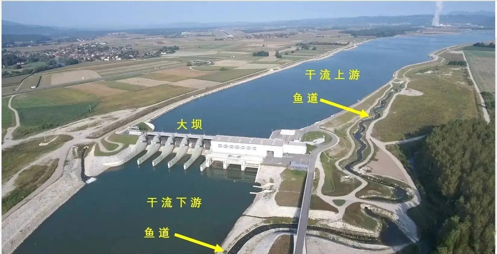 为方便洄游，平陆运河给鱼修梯子，斥巨资建的鱼道，鱼类会用吗?