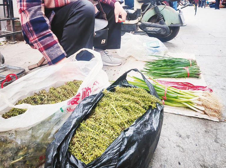 树上鲜 “掐”出来的春天