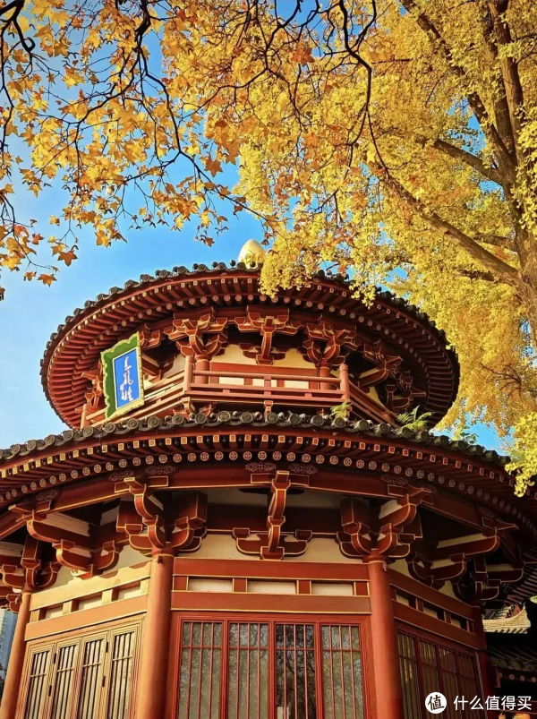 用了一个月华为Mate 80之后，我终于明白，为什么争议这么大