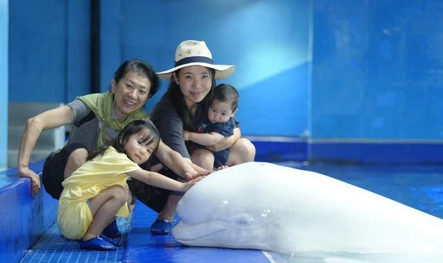 节目中妈妈竟非亲生?张婉婷惊恐发作整一年后，成功找到亲生父母