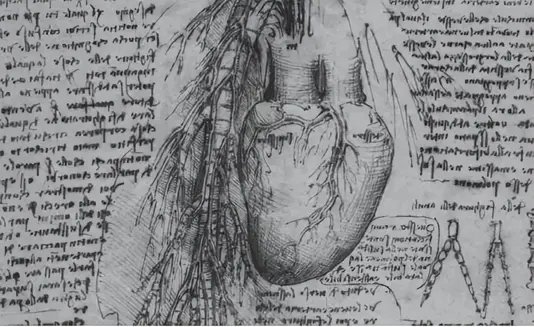 ������������ˣ�500��ǰ���ָ壬�ÿ�ѧ�������벻ͨ