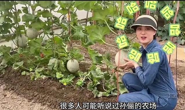 ��ٳ�Ϻ���ƽСԺ�ߺ죬�������ֲ�����������Ϊ��������Ľ��