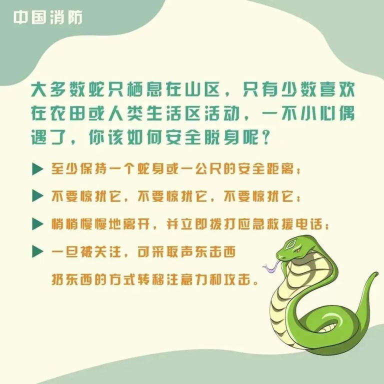 广西一女童被毒蛇咬伤，“假死”近3天奇迹生还!被蛇咬伤要怎么做?