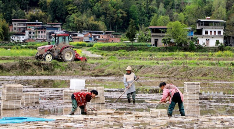 春色（606）｜上游主题摄影征稿作品展——谭启云作品