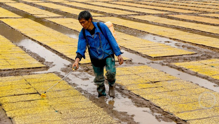 春色（606）｜上游主题摄影征稿作品展——谭启云作品