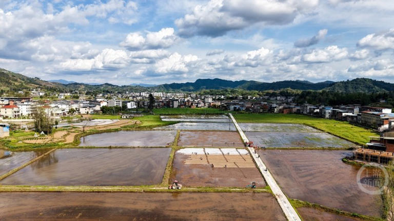 春色（606）｜上游主题摄影征稿作品展——谭启云作品