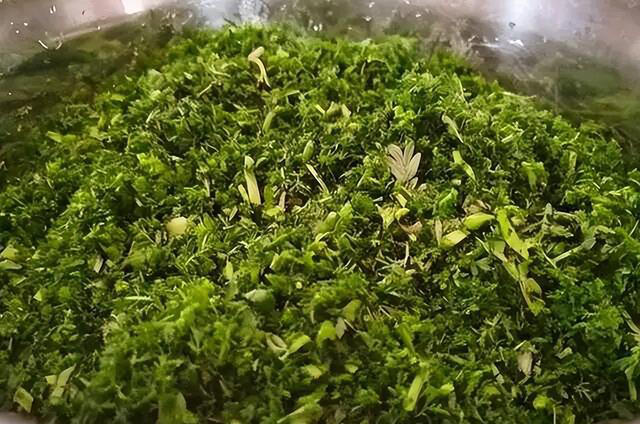 这菜正当季，可惜很多人当草，4月农村遍地是，蒸包子吃真香!