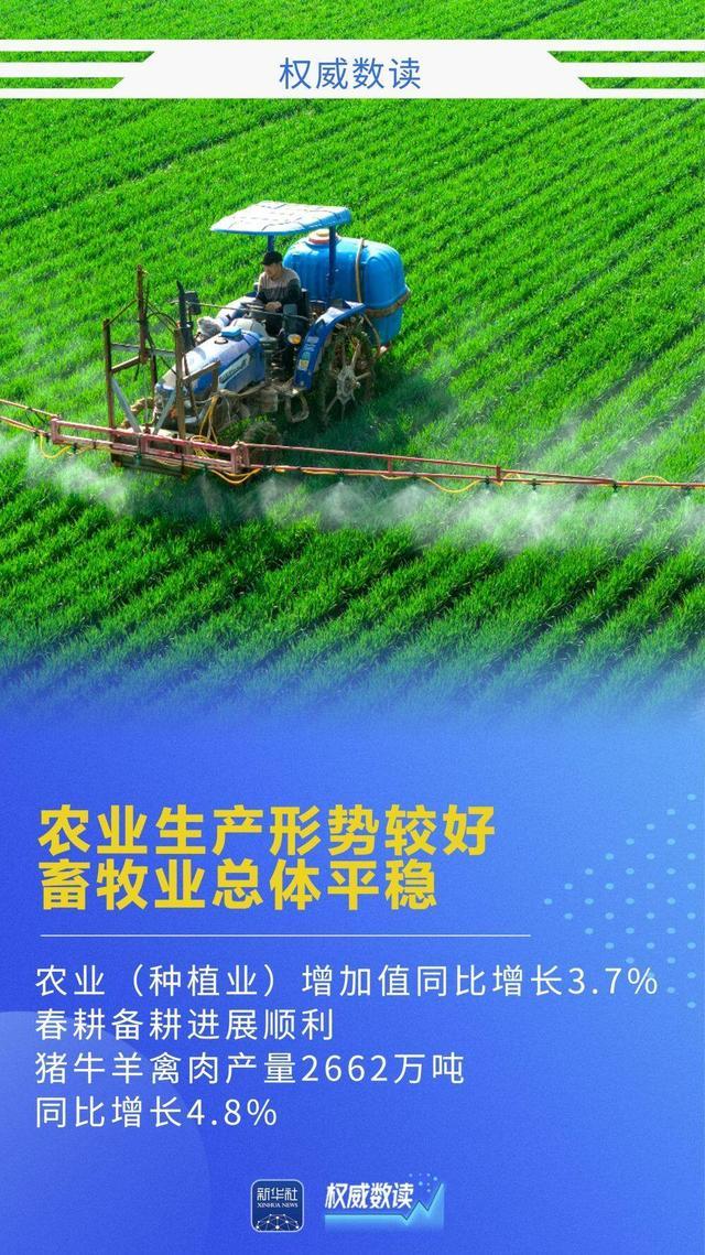 权威数读｜5.0 %!彰显韧性活力，实现良好开局