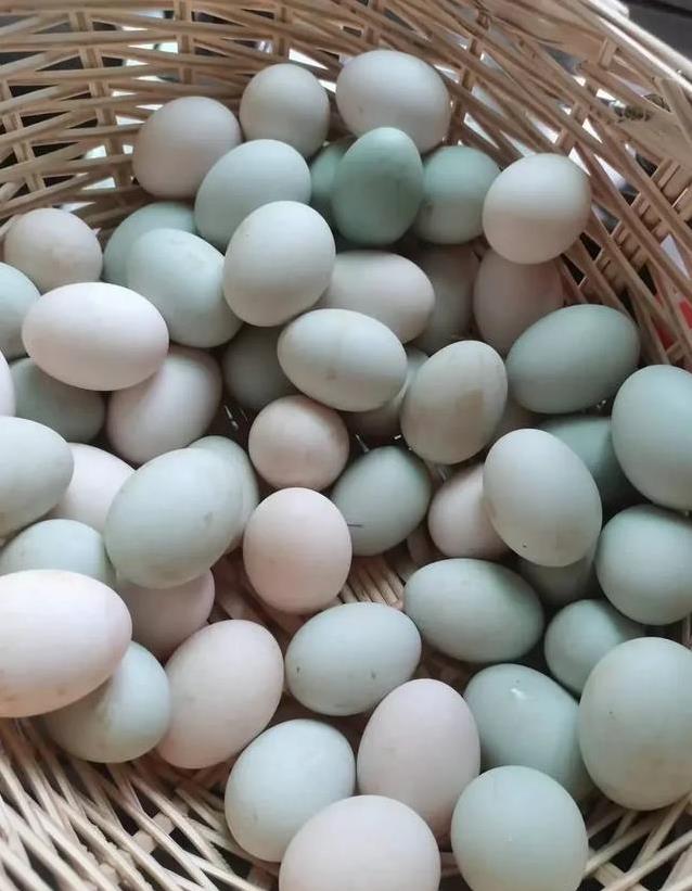 为什么全世界只有中国发明了皮蛋?这4个条件缺一不可