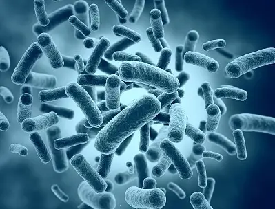 外出吃饭，碗筷用热水烫烫真的能消毒吗?