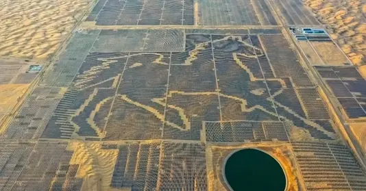 �൱��20����Ͽ��ӣ���ýͻȻ���֣��й�������ɳĮ����˼�����