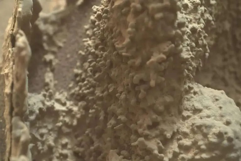 火星发现鳞纹像巨兽蜕皮，不是外星怪物 火星或曾有湖海!