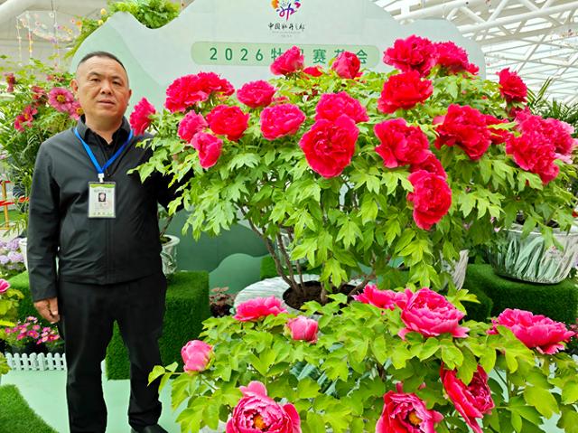 花开66朵!2026牡丹赛花会获奖名单公示，“旭港”捧得“金牡丹奖”