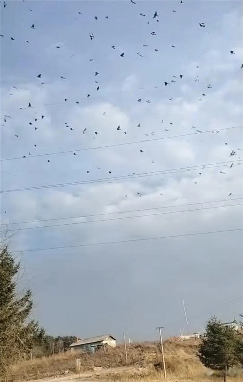 AA21UQ8j.img?w=800&h=1257&m=4&q=100