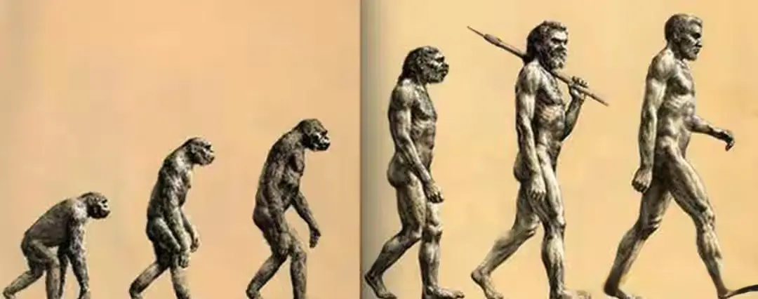 人类一旦灭绝，数亿年后地球还能再进化出人类吗? 答案很残酷