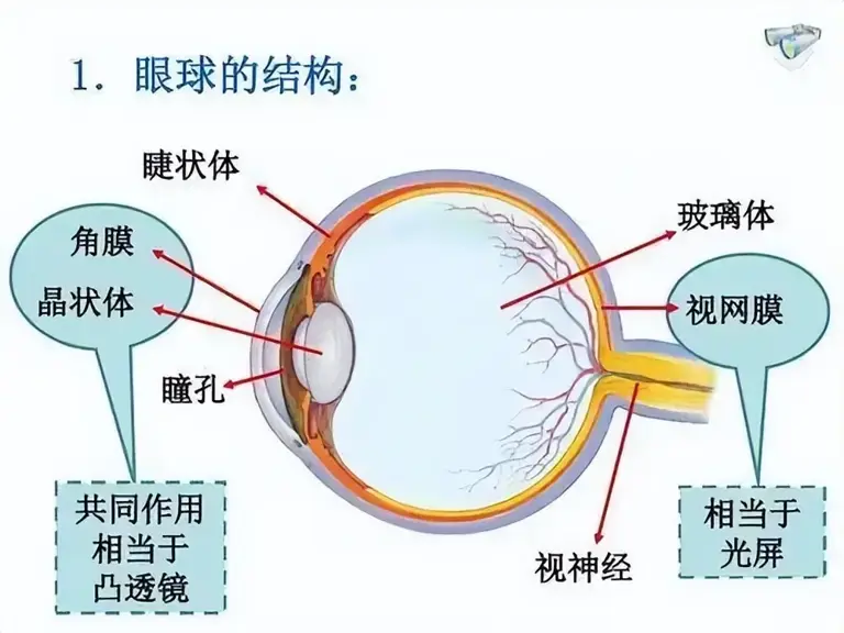 深度长文：物质的世界为何会产生意识这种东西?
