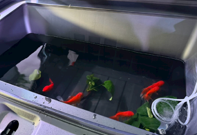 19.98万元起！方程豹钛7 EV闪充版上市：755km全球续航最长纯电方盒子