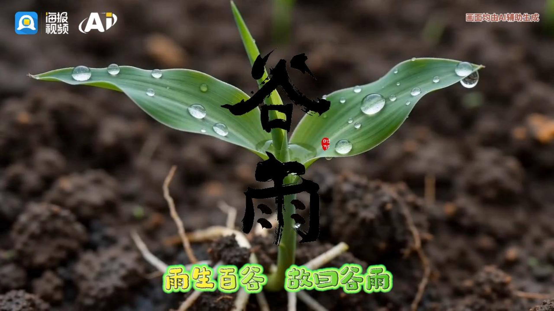 今日谷雨 | 且以春水煎茶 等一场最后的春