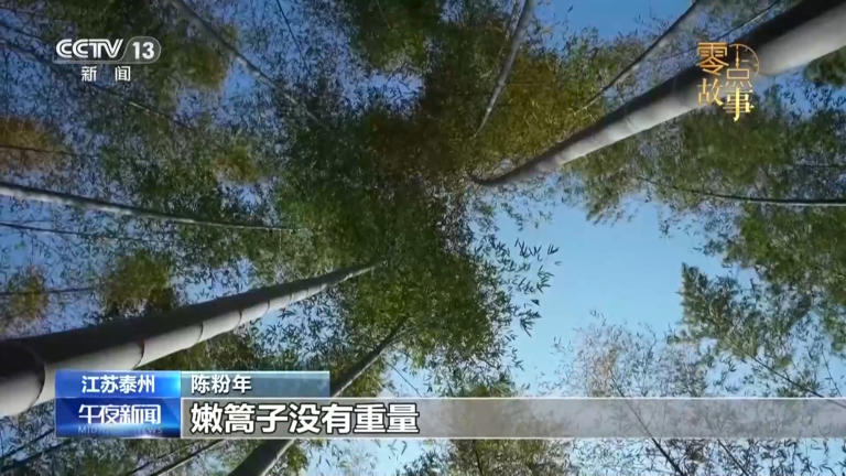 一年千篙，古稀夫妻“撑”起百年会船传承
