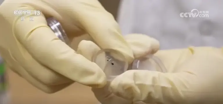 �ҹ����������¿����þ�϶�ʯ�� �й�ʽ�������ؽ�������