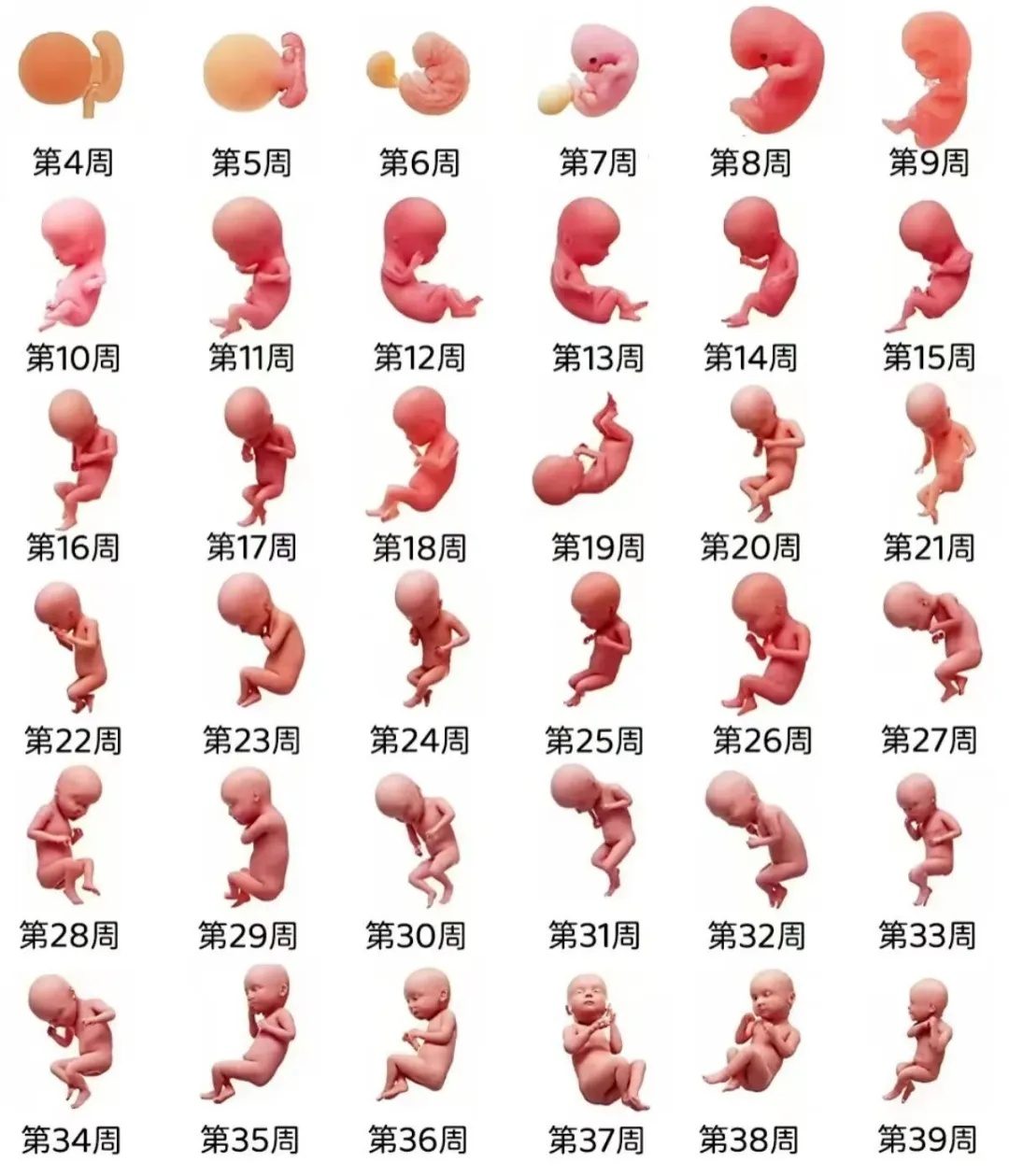女子测出怀孕，子宫内外却找不到宝宝，医生一查：危险!