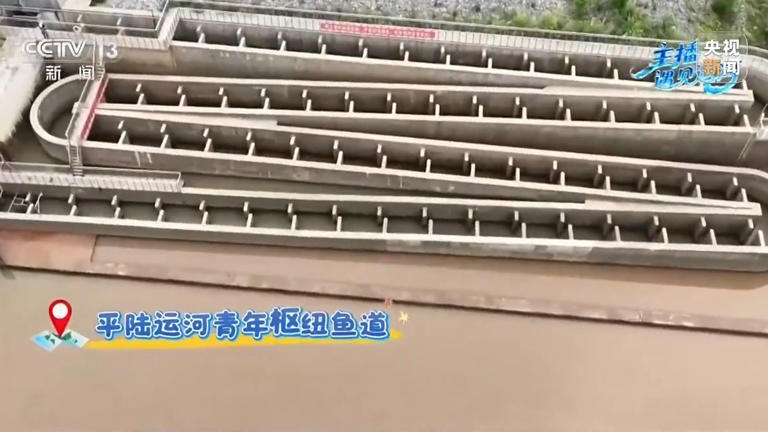 岸上有动物大桥、水下有专属鱼道 平陆运河用细节守护生态