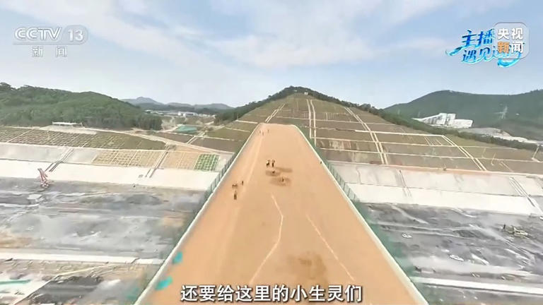 岸上有动物大桥、水下有专属鱼道 平陆运河用细节守护生态