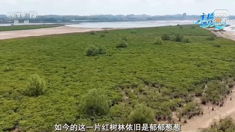 岸上有动物大桥、水下有专属鱼道 平陆运河用细节守护生态