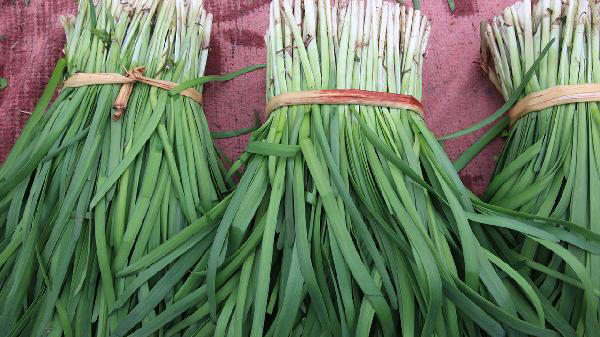 韭菜是血栓的溶剂? 苦劝：不想血管堵塞，尽量少吃这4种食物
