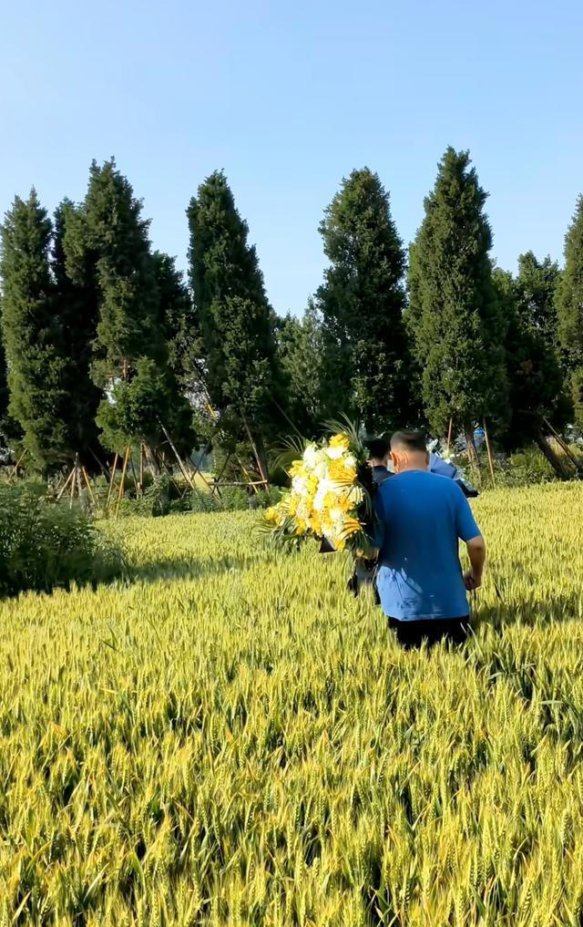 李亚鹏回河南老家，在田边跪地祭拜父亲和奶奶，墓碑简朴感人