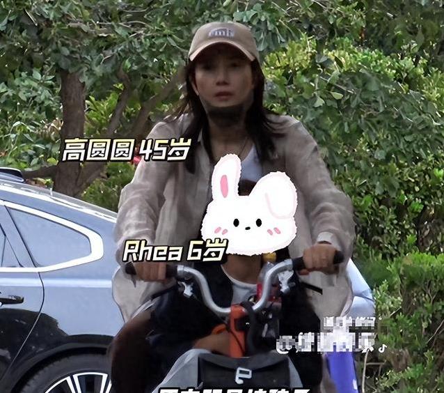 高圆圆在沈阳菜场卖辣白菜？女神变身摊主动作娴熟，路人都不敢认