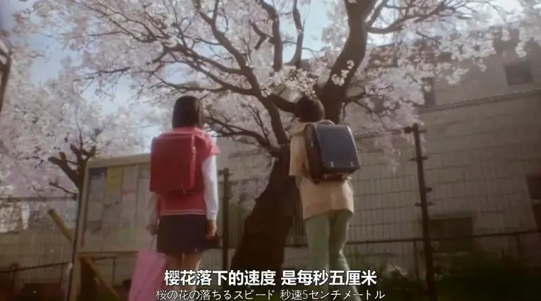 以为是烂片，结果被狠狠打脸！《秒速五厘米》真人版，抚平了观众 18 年的意难平