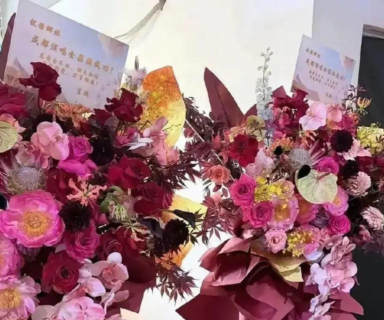 场子小得离谱？谢娜演唱会被吐槽像六一晚会！全开麦很拼，提词器也很忙，网友直言花上千元不值得！