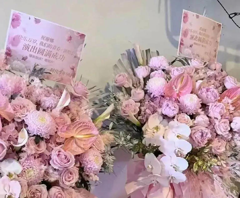 场子小得离谱？谢娜演唱会被吐槽像六一晚会！全开麦很拼，提词器也很忙，网友直言花上千元不值得！