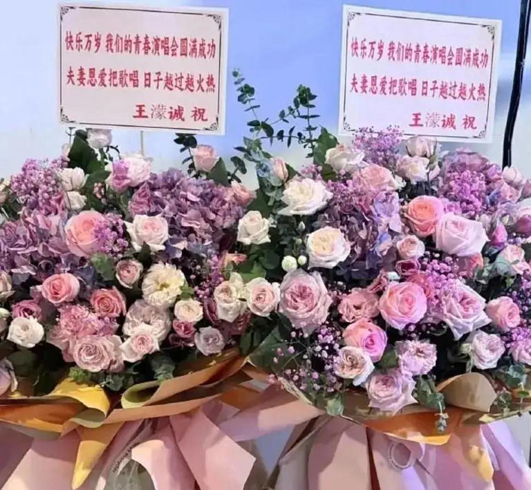 场子小得离谱？谢娜演唱会被吐槽像六一晚会！全开麦很拼，提词器也很忙，网友直言花上千元不值得！