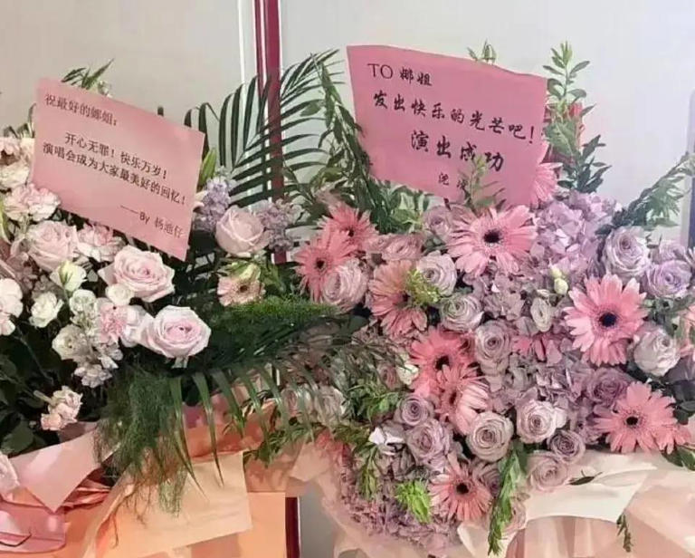 场子小得离谱？谢娜演唱会被吐槽像六一晚会！全开麦很拼，提词器也很忙，网友直言花上千元不值得！