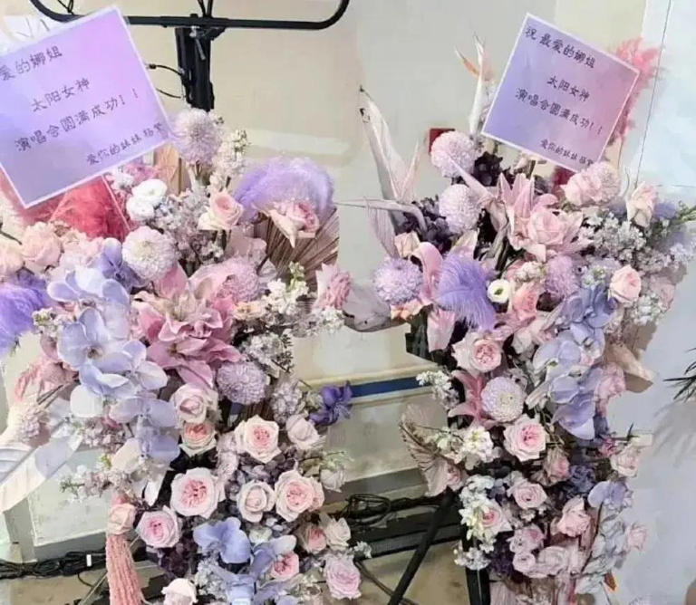场子小得离谱？谢娜演唱会被吐槽像六一晚会！全开麦很拼，提词器也很忙，网友直言花上千元不值得！