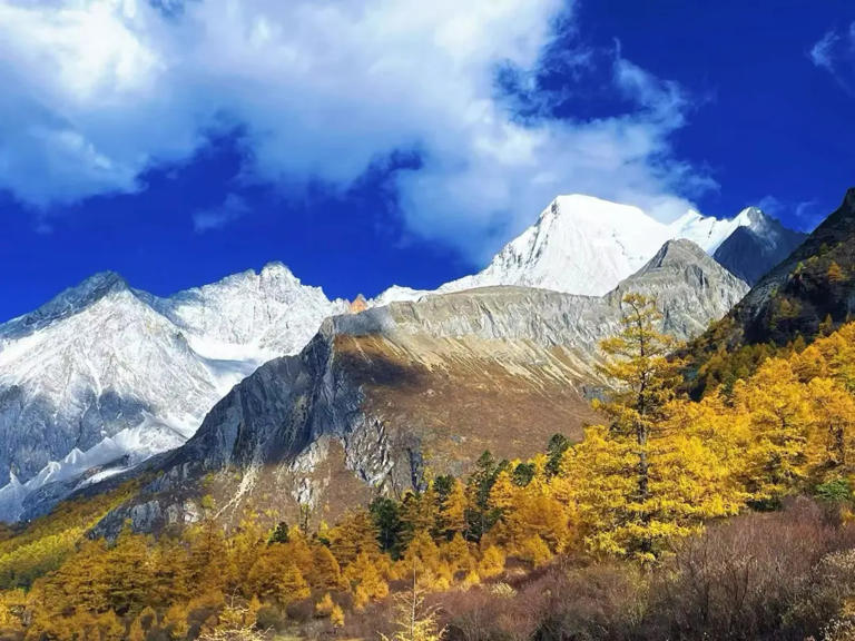 多家5A景区被点名通报！摆渡车为何成了景区&ldquo;刺客&rdquo;？
