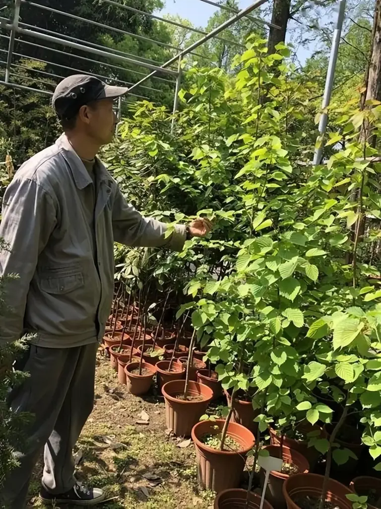 只有中国才有! 专家种上万粒种子全死了，几粒落到尿桶里却发芽了