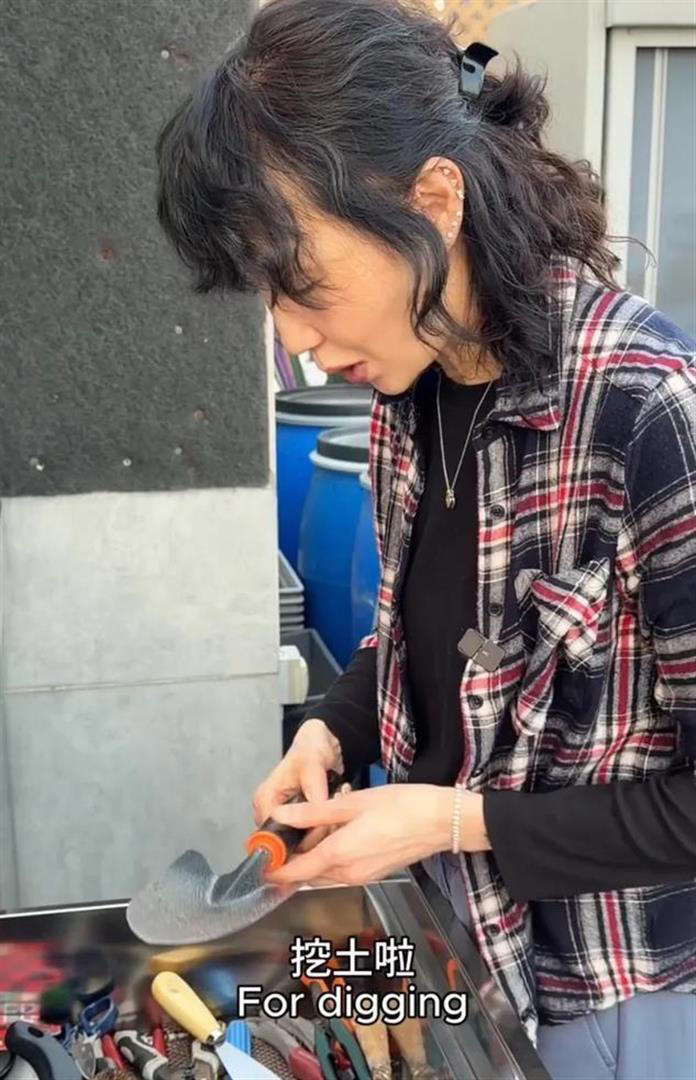 张曼玉在香港豪宅的阳台上种芋头，她亲自挖芋头，张曼玉也爱种地