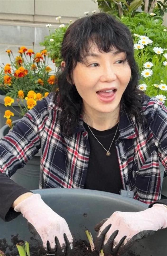 张曼玉在香港豪宅的阳台上种芋头，她亲自挖芋头，张曼玉也爱种地