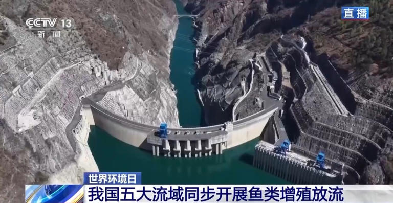 五大流域开展增殖放流 生态鱼道助力珍稀鱼类洄游